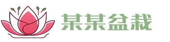 凯时游戏·(中国)集团